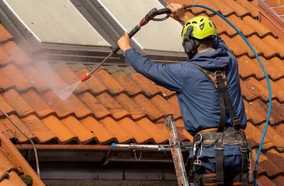 Démoussage et hydrofuge de toiture à Luceau